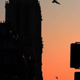 Paris Notre Dame - bibendum84