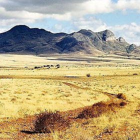 Near Patagonia, Arizona 1990 - PhillipC