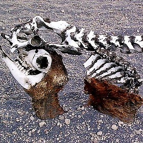 besthike.com Misti Volcano, Peru - Rick McCharles