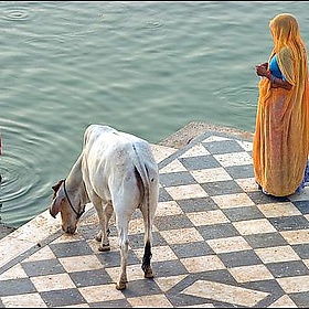 M O R N I N G. Pushkar - Claude Renault (Away)