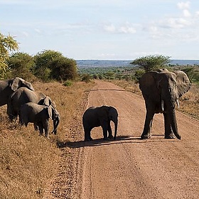 Stop! - Stig Nygaard