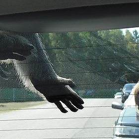 Urlaub! Tag 2 - Last Hero