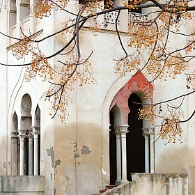 La casa del cinamomo - peribanyez