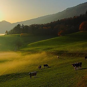 IMG_3576-02_3.1 - Les photos de Nico