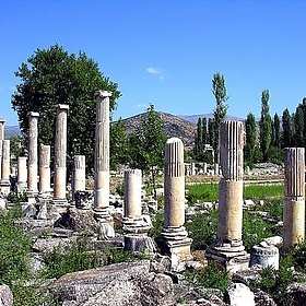 Turkey-2695 - archer10 (Dennis)