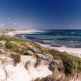 WA Beach - StormyDog