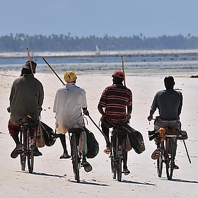 Cycling on Zanzibars Beach - Tscherno