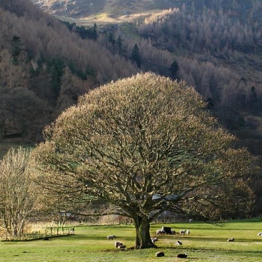 Lake District