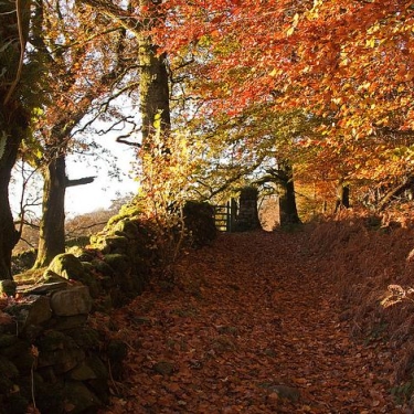 Lake District