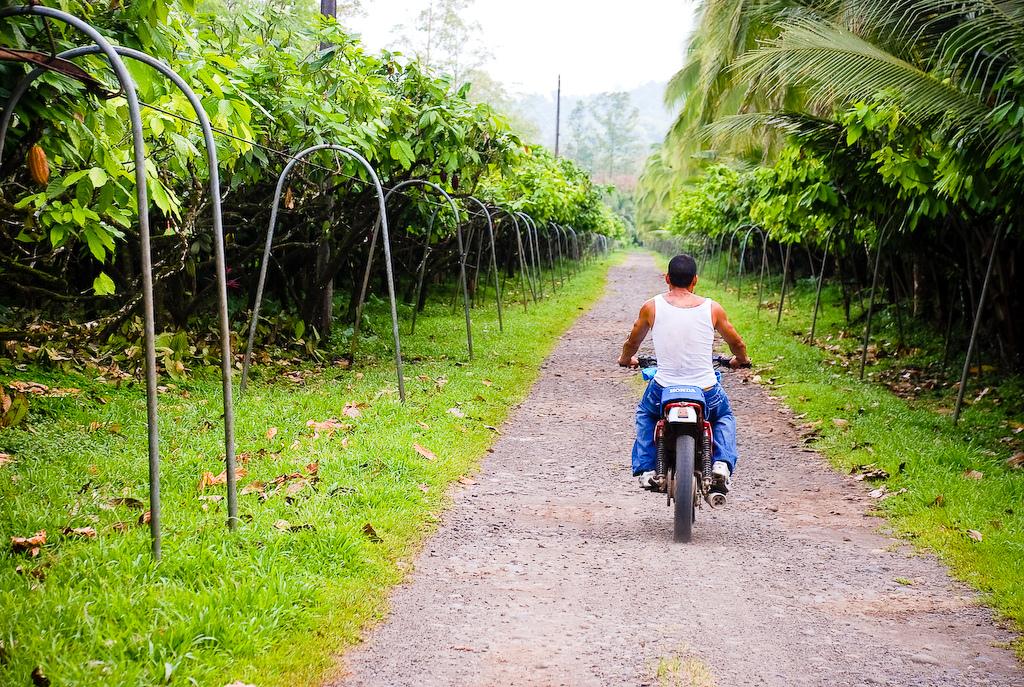 Costa Rica. On the Chocolate Tour