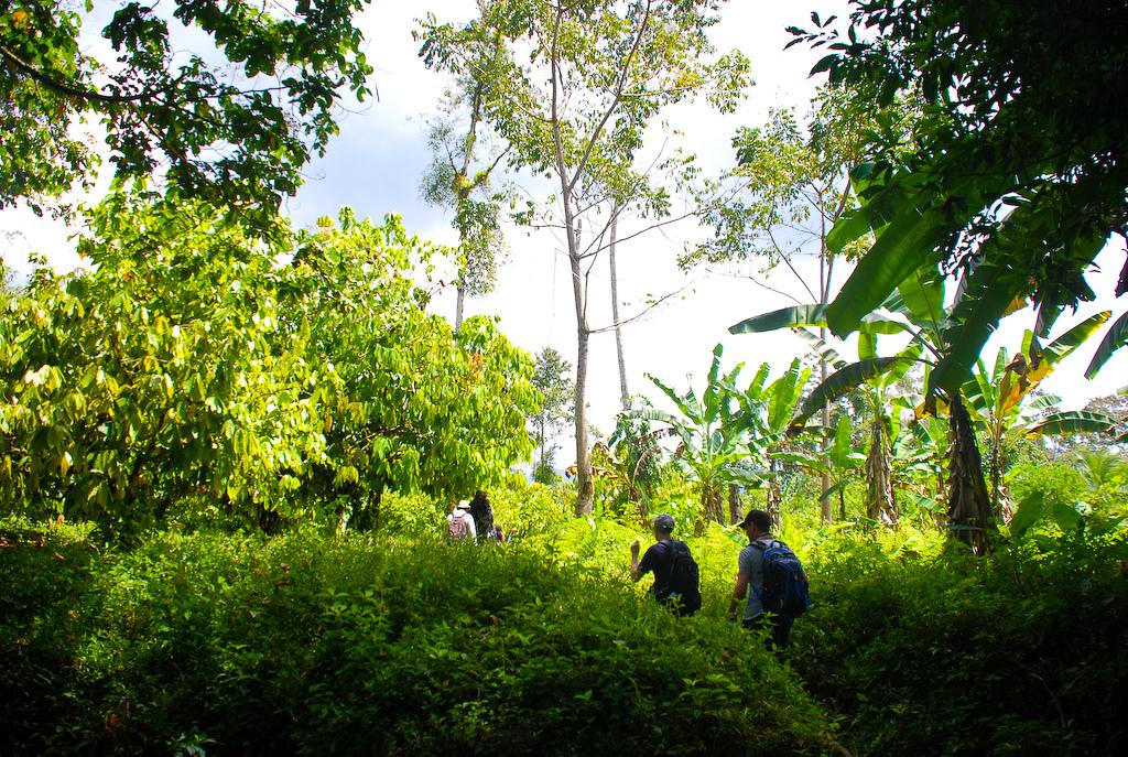 Costa Rica. On the Chocolate Tour