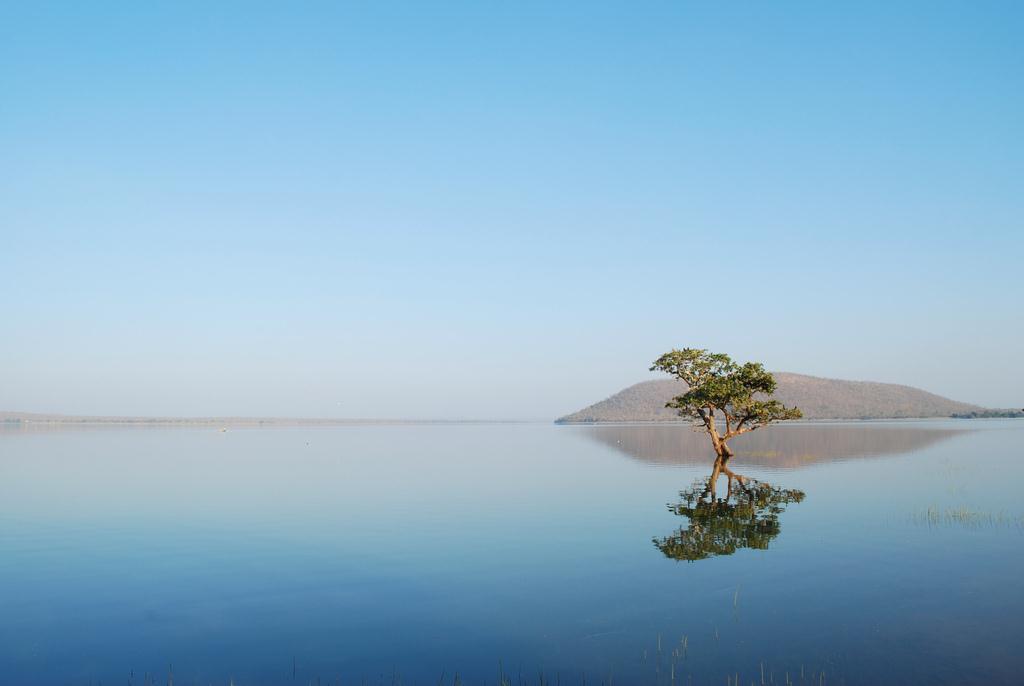 Mirror to the sky