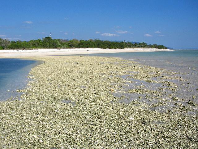 Backpacking Indonesia