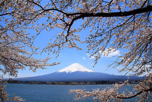 Mt. Fuji.