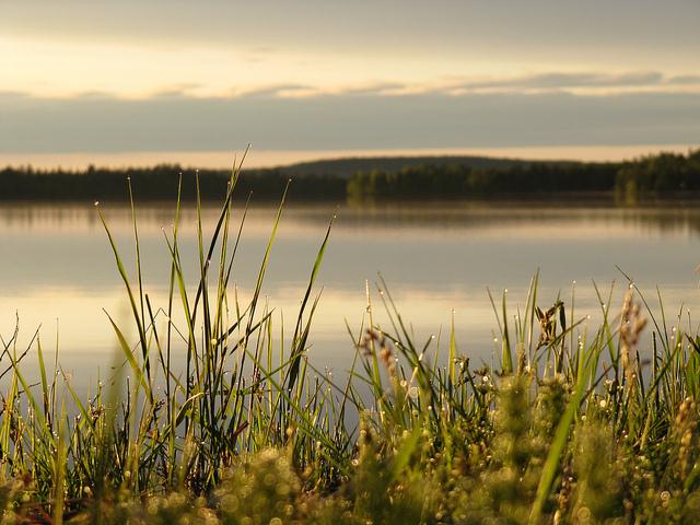 Midsummer in Lapland