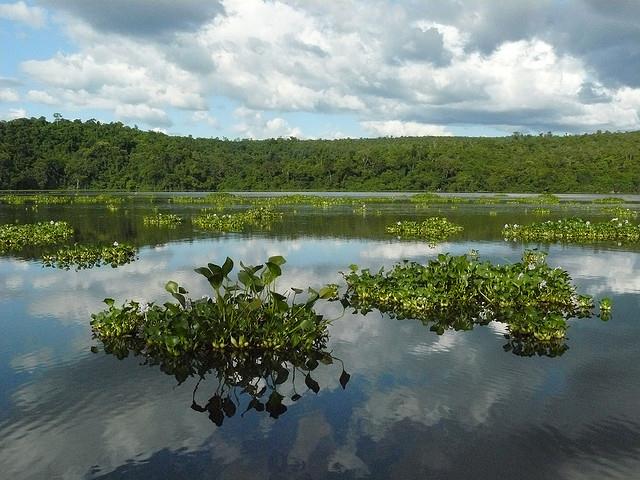 Lake Ravelobe, Ankarafantsika National Park, Madagascar