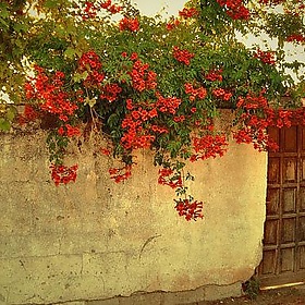 Welcome to Cunda Island... - Kıvanç Niş