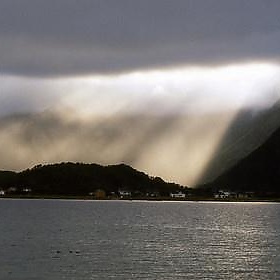Sunbeams - m.prinke
