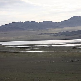 Kina og Mongolia 2008 850 - Ssppeeeeddyy