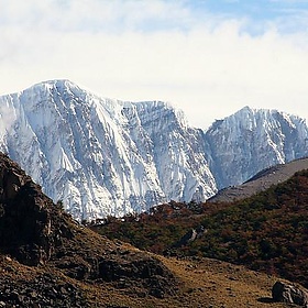 Patagonia - H Dragon