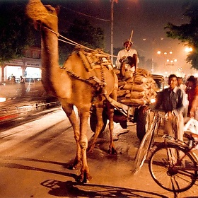 India - Merchants  : Jaïpur, farmer (Rajasthan) - Vincent Desjardins