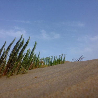 Cabo de Gata