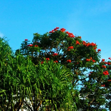 Hawaii