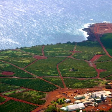 Hawaii