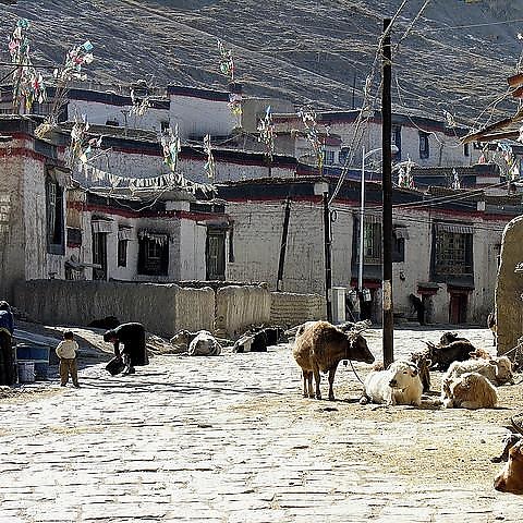 Tibet