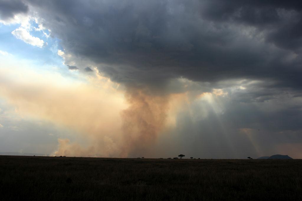 Serengeti 119